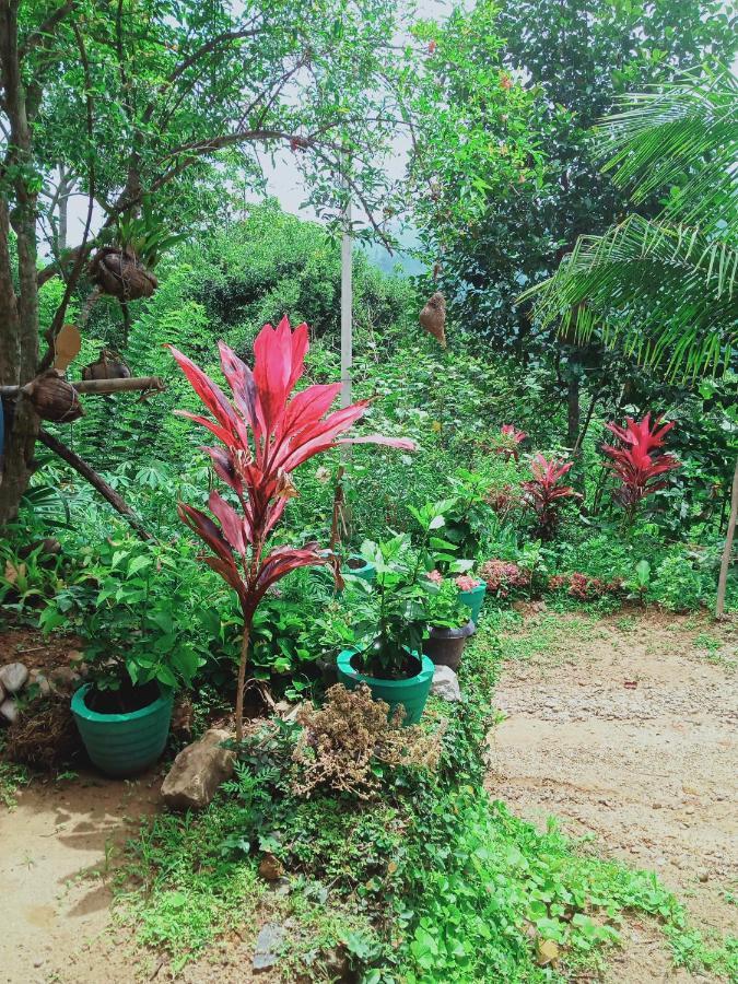 Misty View Inn Ella Luaran gambar