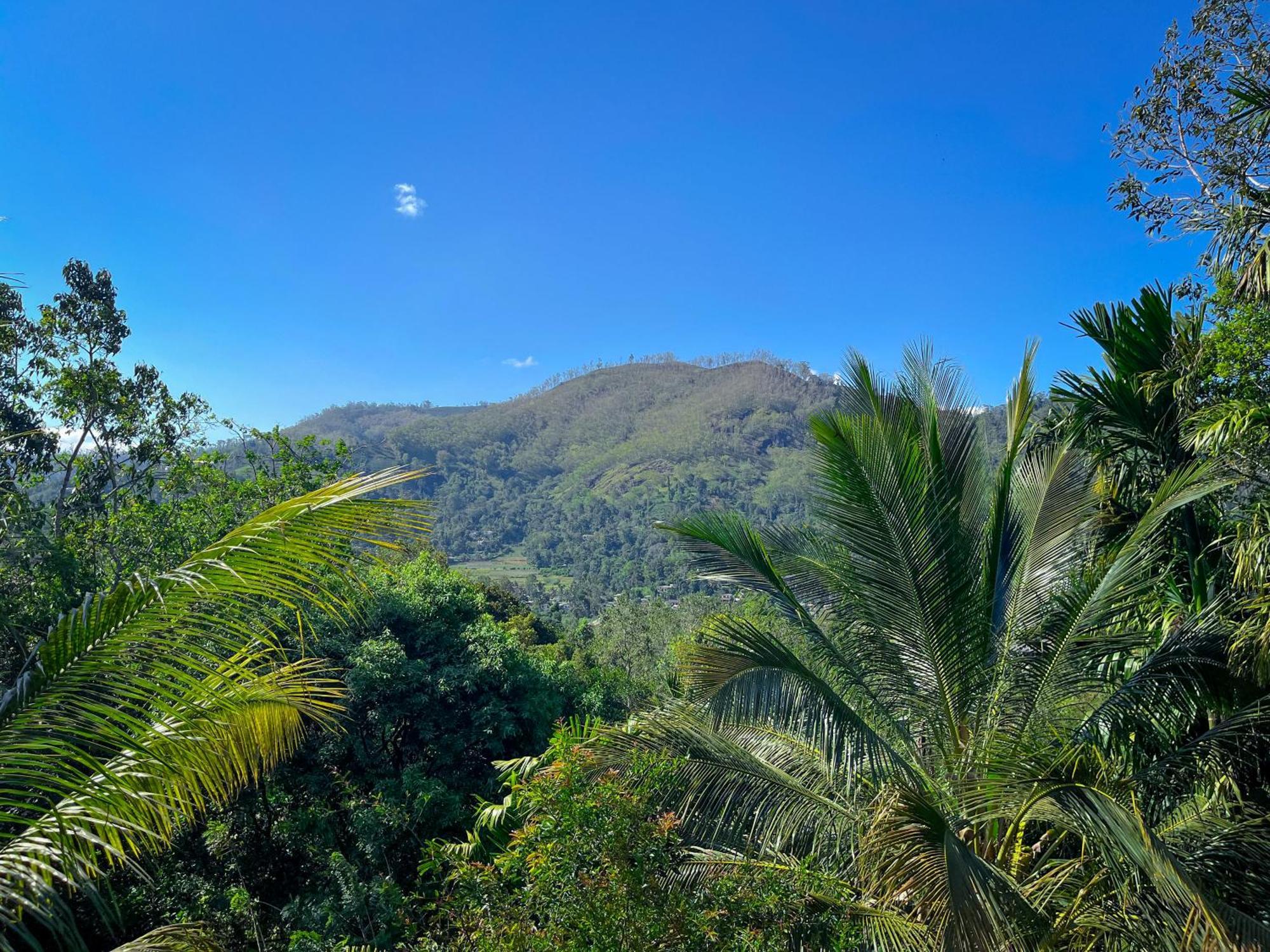 Misty View Inn Ella Luaran gambar